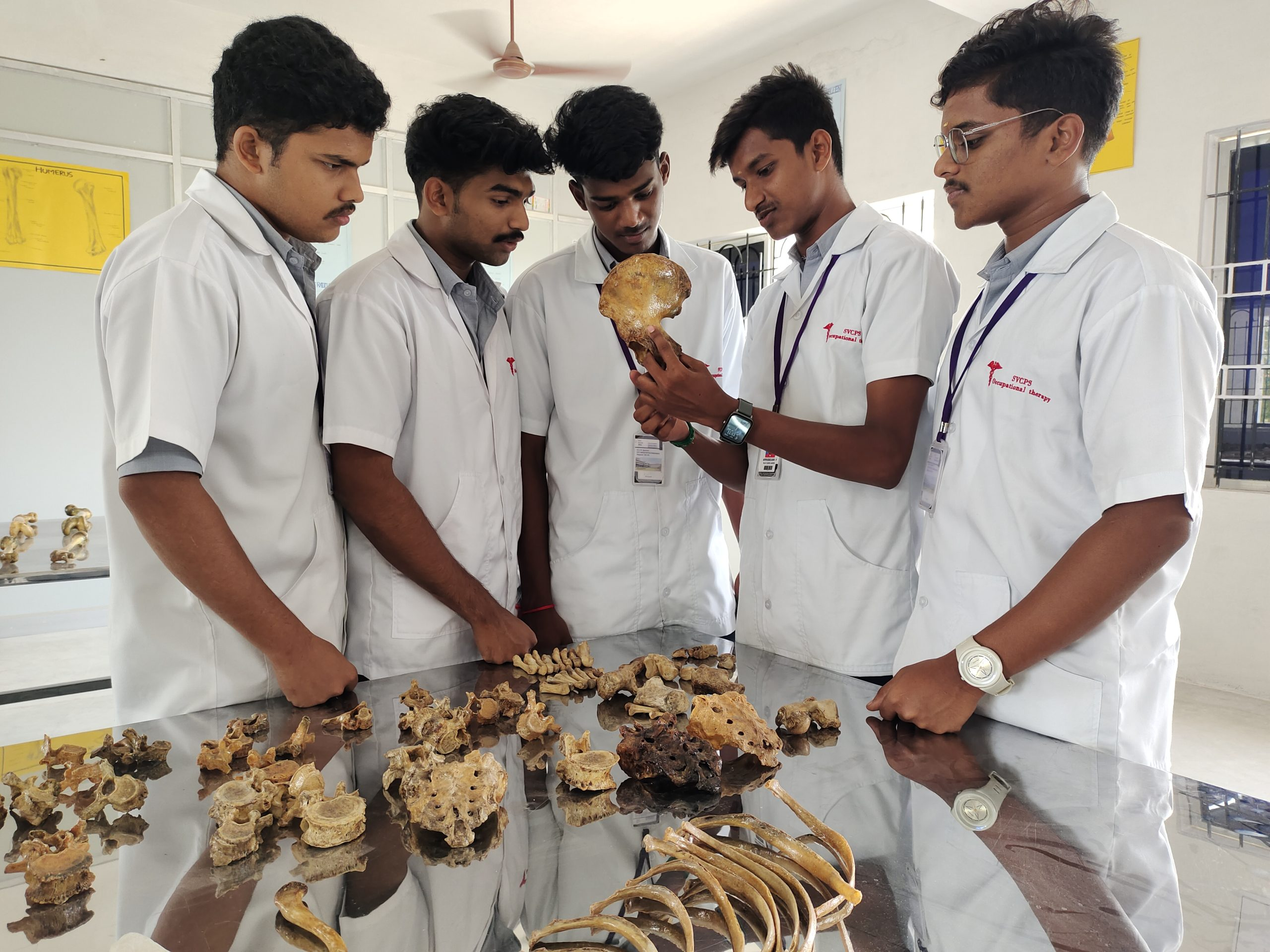 Physiology Laboratory Equipment